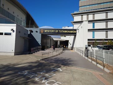 MYSTERY OF TUTANKHAMEN 体感型古代エジプト展に投稿された画像（2024/12/14）