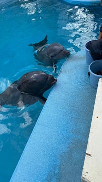 南知多ビーチランド＆南知多おもちゃ王国に投稿された画像（2024/12/14）