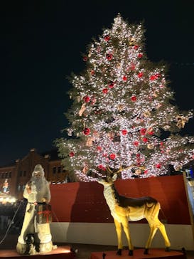 Christmas Market in 横浜赤レンガ倉庫 2025に投稿された画像（2024/12/14）