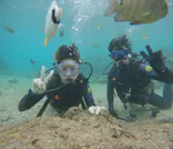 武藤潜水に投稿された画像（2024/12/14）