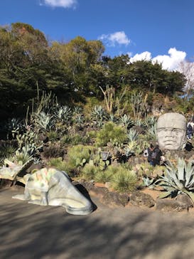 伊豆シャボテン動物公園に投稿された画像（2024/12/14）