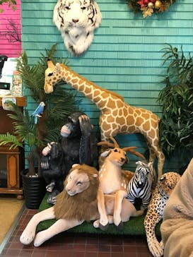 伊豆シャボテン動物公園に投稿された画像（2024/12/14）