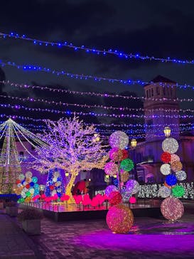 フェスタ・ルーチェに投稿された画像（2024/12/14）