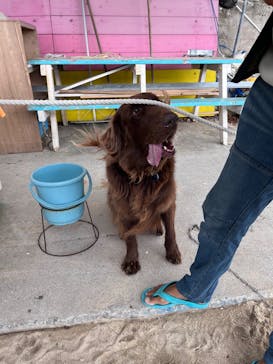 OCEANS/新原海底観光センターに投稿された画像（2024/12/14）