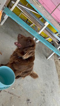 OCEANS/新原海底観光センターに投稿された画像（2024/12/14）