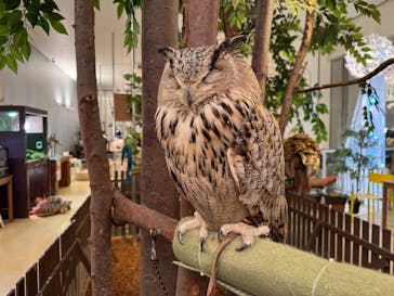 Moff animal cafe イオンモール幕張新都心店に投稿された画像（2024/12/14）