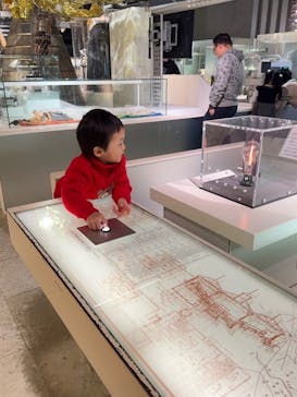 国立科学博物館に投稿された画像（2024/12/14）