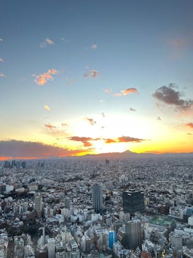 サンシャイン60展望台に投稿された画像（2024/12/14）