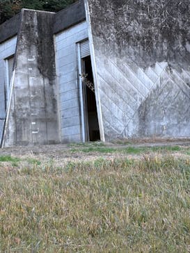名古屋市東山動植物園に投稿された画像（2024/12/14）