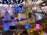 ひらかたパークに投稿された画像（2024/12/14）