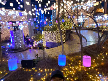 ひらかたパークに投稿された画像（2024/12/14）