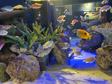 竹島水族館に投稿された画像（2024/12/14）