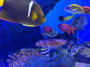 竹島水族館に投稿された画像（2024/12/14）