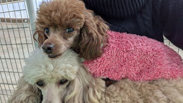 つくばわんわんランドに投稿された画像（2024/12/14）