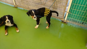 つくばわんわんランドに投稿された画像（2024/12/14）