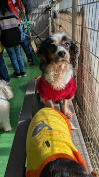 つくばわんわんランドに投稿された画像（2024/12/14）