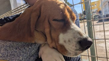 つくばわんわんランドに投稿された画像（2024/12/14）