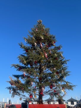 Christmas Market in 横浜赤レンガ倉庫 2025に投稿された画像（2024/12/14）