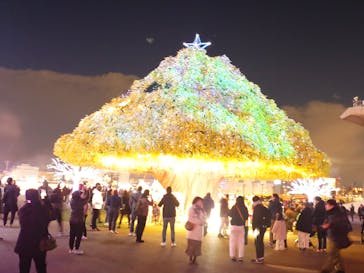 東京メガイルミに投稿された画像（2024/12/14）