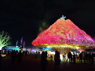 東京メガイルミに投稿された画像（2024/12/14）