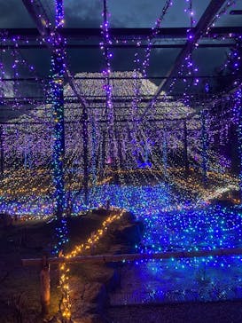 日本庭園　由志園に投稿された画像（2024/12/14）