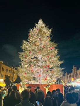 Christmas Market in 横浜赤レンガ倉庫 2025に投稿された画像（2024/12/14）