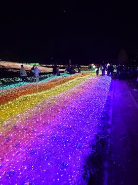 東武動物公園に投稿された画像（2024/12/14）