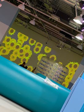 ハピピランド ラグーナ蒲郡に投稿された画像（2024/12/14）