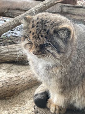 那須どうぶつ王国に投稿された画像（2024/12/14）