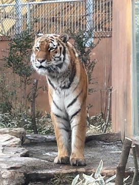 那須どうぶつ王国に投稿された画像（2024/12/14）