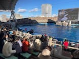 名古屋港水族館に投稿された画像（2024/12/14）