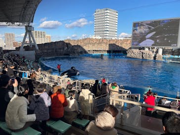 名古屋港水族館に投稿された画像（2024/12/14）