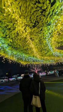 東京メガイルミに投稿された画像（2024/12/14）