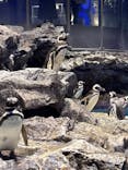 すみだ水族館に投稿された画像（2024/12/14）