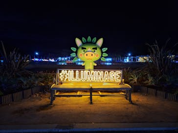 鹿児島イルミナージュに投稿された画像（2024/12/14）