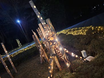 鹿児島イルミナージュに投稿された画像（2024/12/14）