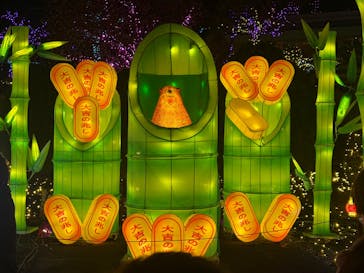 伊豆高原グランイルミに投稿された画像（2024/12/14）