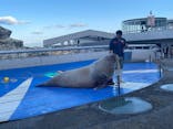 大分マリーンパレス水族館 「うみたまご」に投稿された画像（2024/12/14）