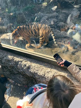 恩賜上野動物園に投稿された画像（2024/12/14）