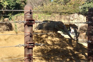 恩賜上野動物園に投稿された画像（2024/12/14）
