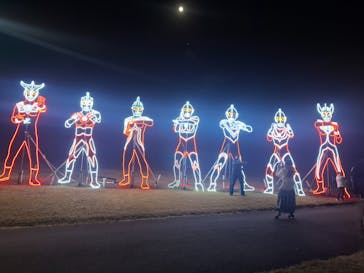 鹿児島イルミナージュに投稿された画像（2024/12/14）