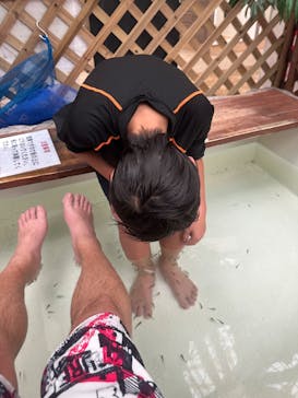 スパリゾートハワイアンズに投稿された画像（2024/12/14）