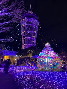 江の島シーキャンドルに投稿された画像（2024/12/14）