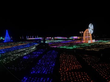 マザー牧場に投稿された画像（2024/12/14）