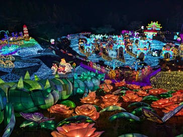 伊豆高原グランイルミに投稿された画像（2024/12/14）