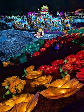 伊豆高原グランイルミに投稿された画像（2024/12/14）