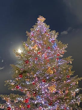 Christmas Market in 横浜赤レンガ倉庫 2025に投稿された画像（2024/12/14）