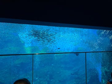 仙台うみの杜水族館に投稿された画像（2024/12/14）