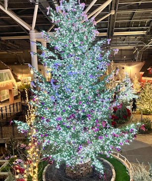 安城産業文化公園デンパークに投稿された画像（2024/12/14）