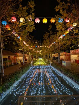 西武園ゆうえんちに投稿された画像（2024/12/14）